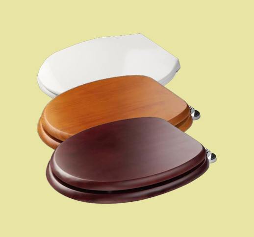 Replacement Toilet Seats