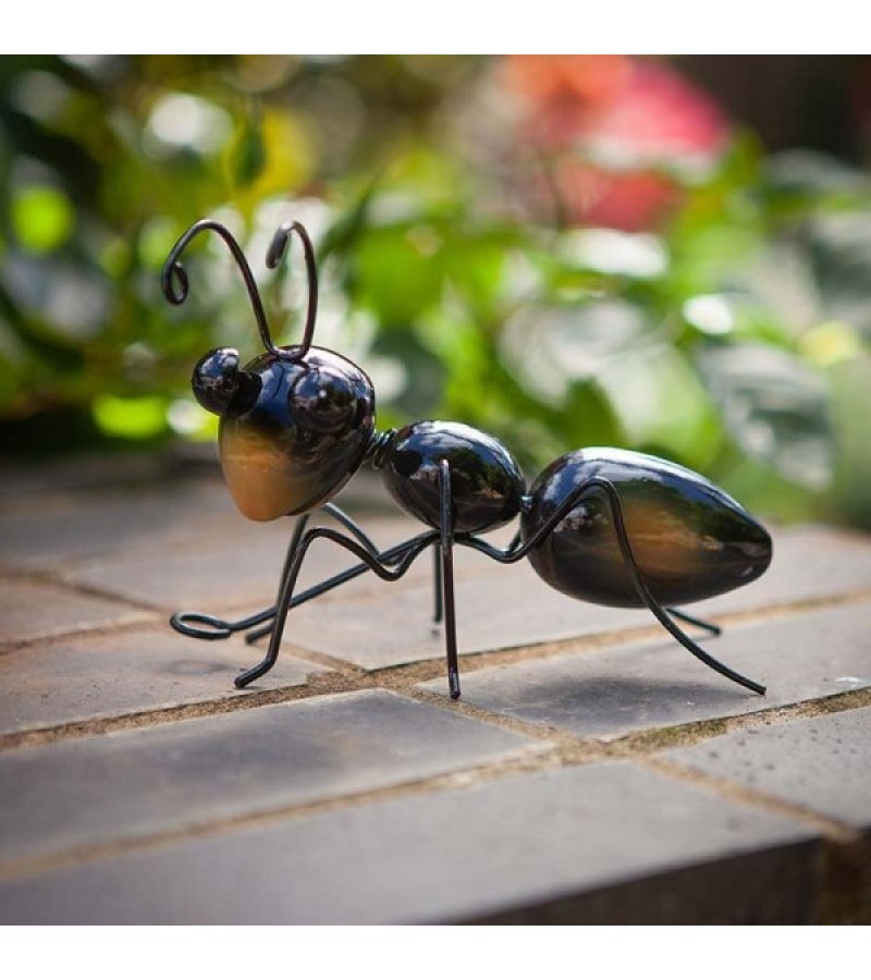 Ant Large