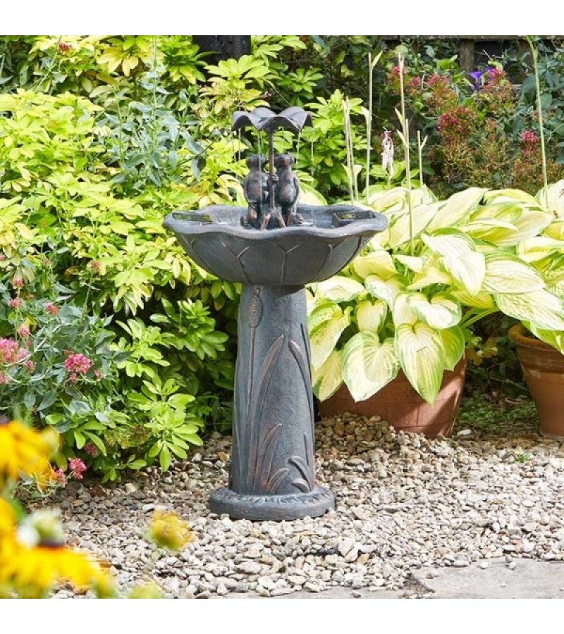 Smart Garden Solar Frog Fountain