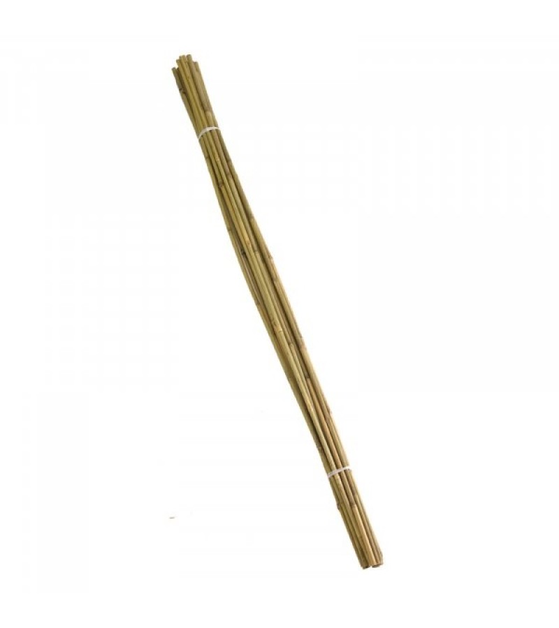 Smart 240cm Bamboo Canes Bundle 10 (10 x 8ft)