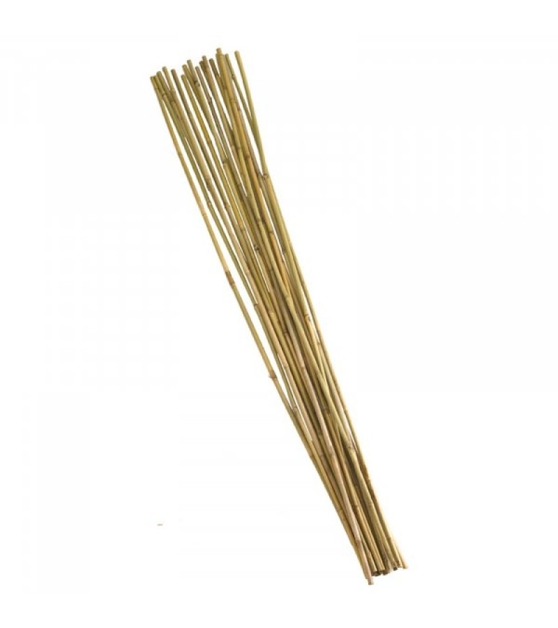 Smart 240cm Bamboo Canes Bundle 10 (10 x 8ft)