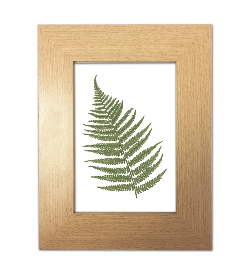 Picture Frame (A4) Beech