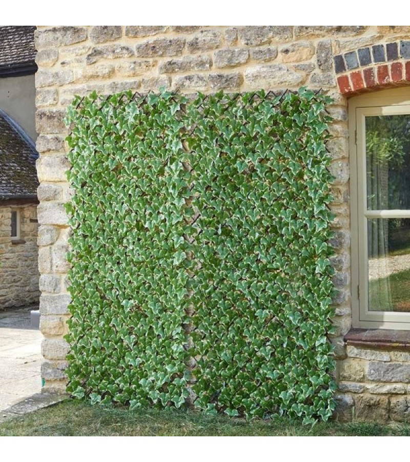 Ivy Leaf Trellis 180  x 90cm