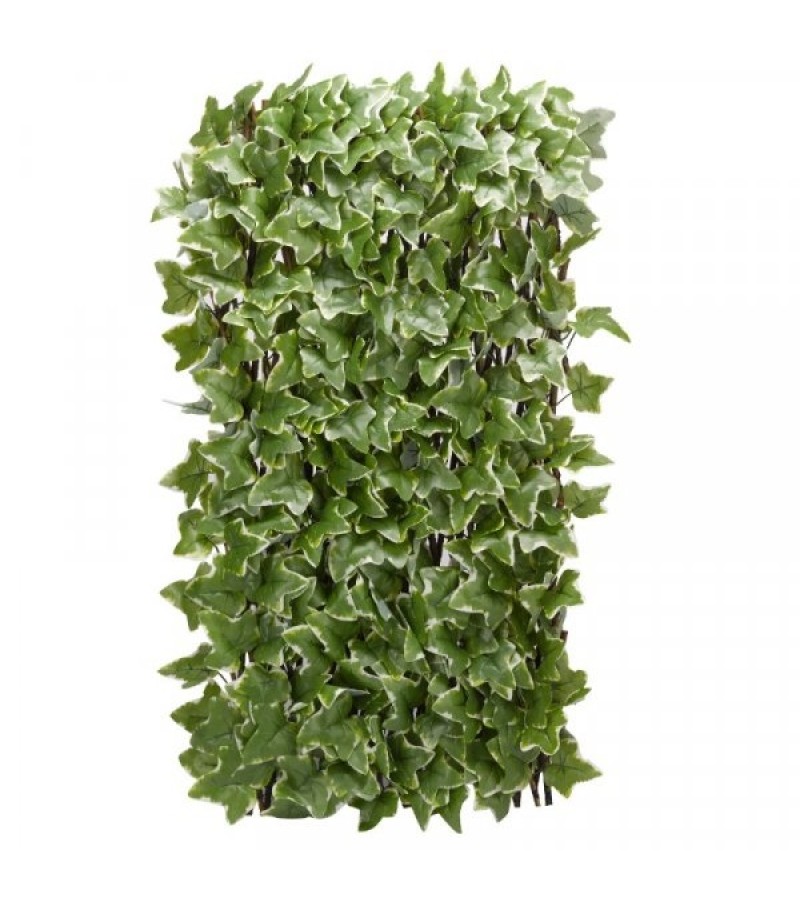Ivy Leaf Trellis 180 x 60