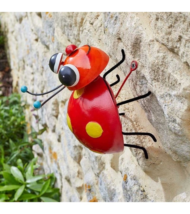 Crazzee Ladybug Medium
