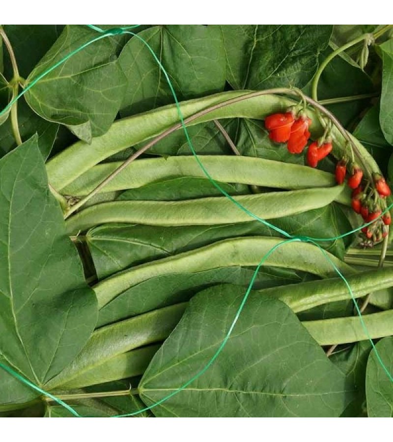 Pea & Bean Netting 150mm (2 x 5m) Green