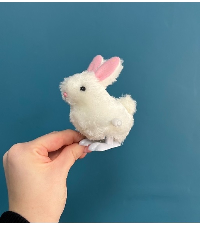 Wind Up Bunny Toy