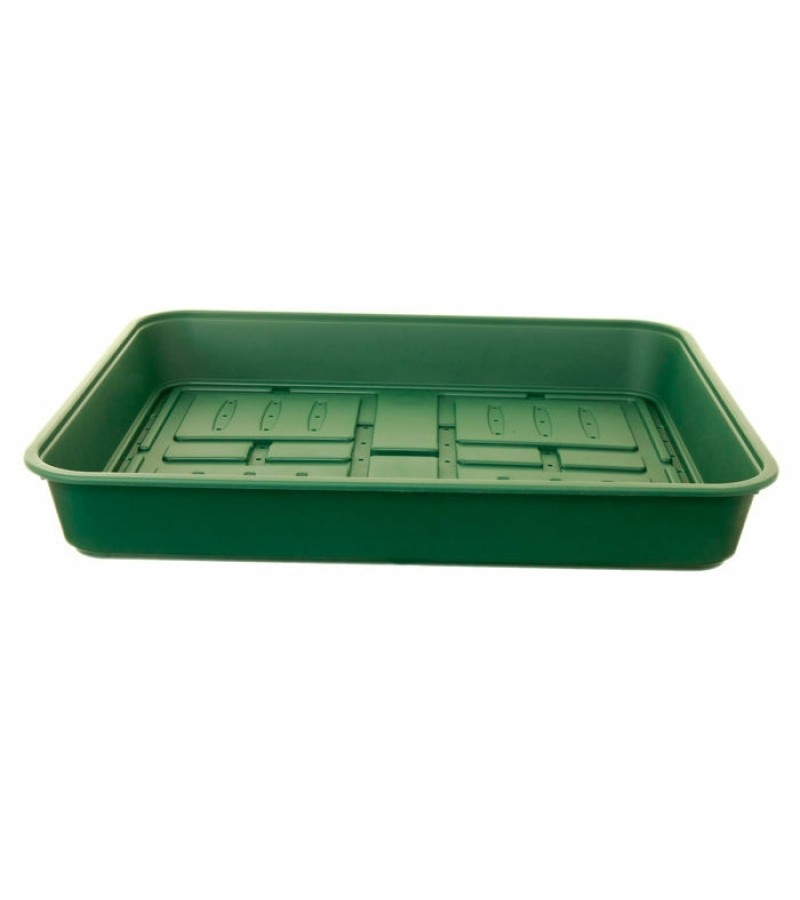 52cm Large Seed Tray - Green   
