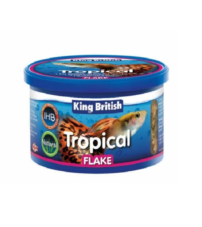 King British Tropical Fish Flakes 28g