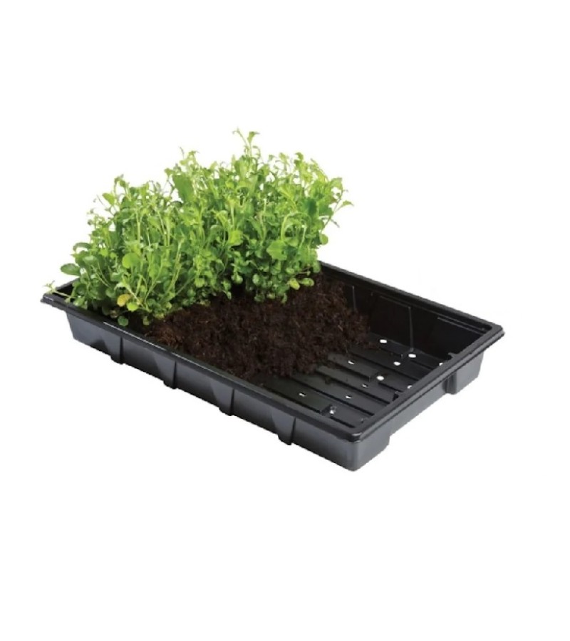 Professional Seed Trays (Pack of 5)