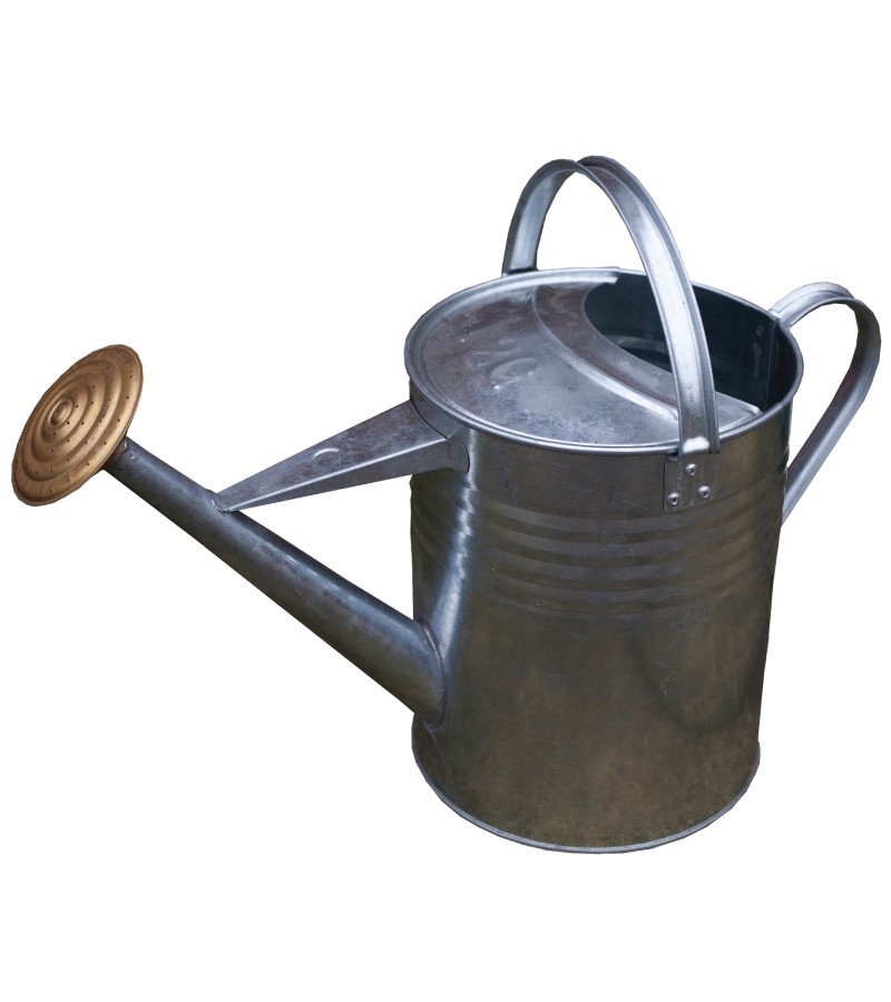 Galvanised Watering Can 9L