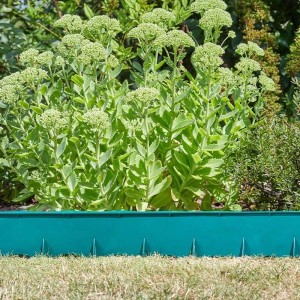Smart Garden Flex Lawn Edging Green (15cm x 1.2m)