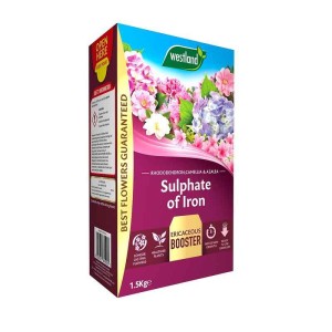 Westland Sulphate of Iron Ericaceous Plant Food 1.5KG