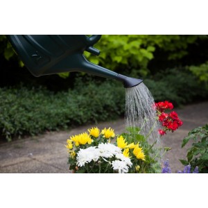 Green Watering Can 5L
