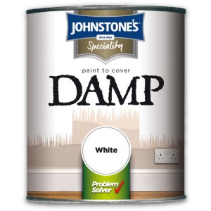 Paint To Cover Damp