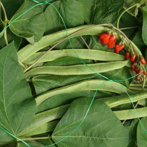 Pea & Bean Netting 150mm (2 x 5m) Green