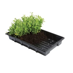 Professional Seed Trays (Pack of 5)