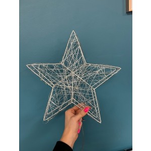 Christmas Wonder Starlet 30cm