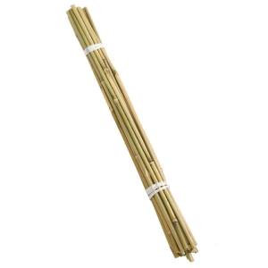 Bamboo Canes 120cm (4ft) (10 Pack)
