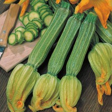 Mr Fothergill's Courgette Romanesco Seeds (25 Pack)