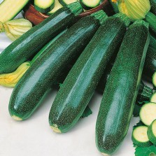 Mr Fothergill's Courgette Zucchini Seeds (20 Pack)