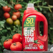 Big Tom - Tomato Food 