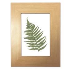 Picture Frame (A4) Beech