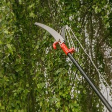 Wilkinson Sword Telescopic Tree Cutter