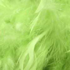 Lime Green Feathers 5g