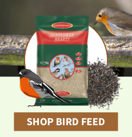 Wild Bird & Animal Food