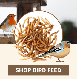 Wild Bird & Animal Food