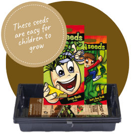 These seeds are easy for children to grow