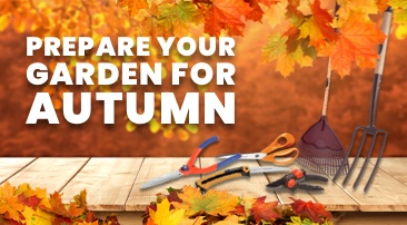 Get your garden ready for Autumn