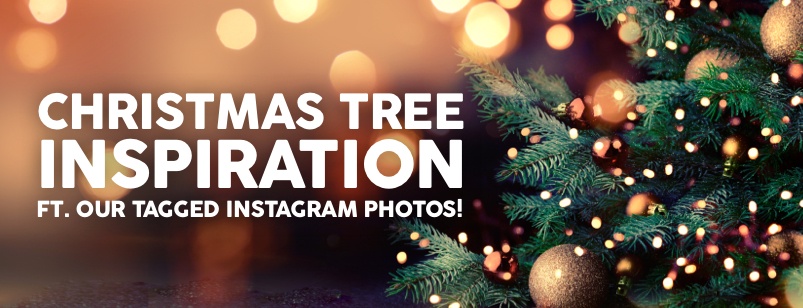 Christmas Tree Inspiration (ft. our tagged Instagram photos!)